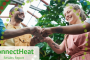Connectheat’s final publishable results report