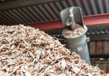 Italy’s Path to Thermal Energy Communities: From Forests to Local Heat